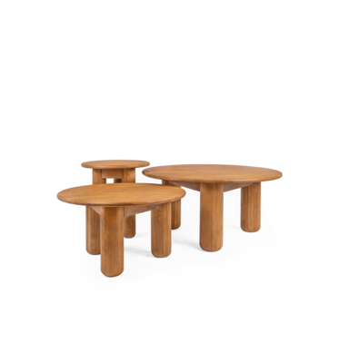 dBodhi Dino Coffee Table Set Of 3